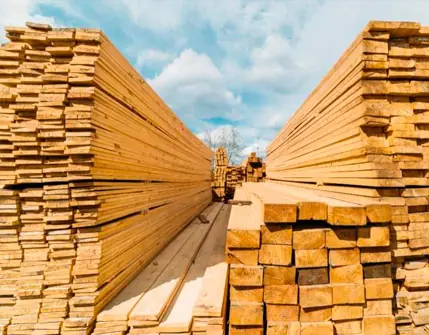 Madeiras para Construção