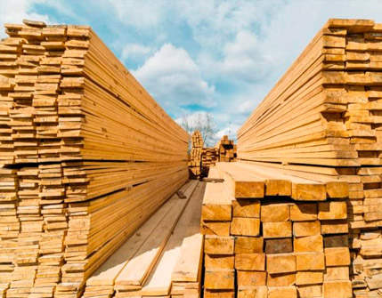 Madeiras para Construção